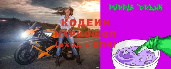 крисы Абаза