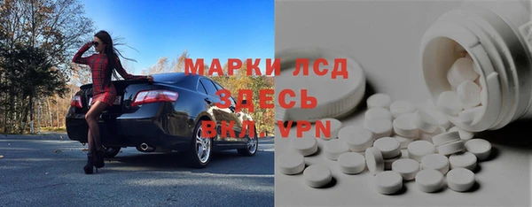 крисы Абаза