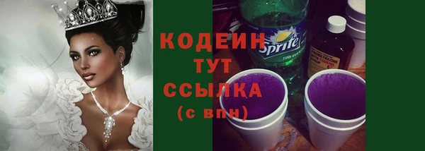 крисы Абаза