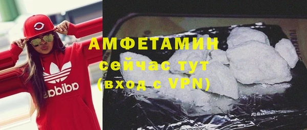крисы Абаза