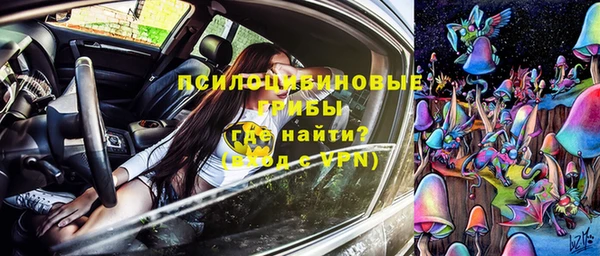 крисы Абаза