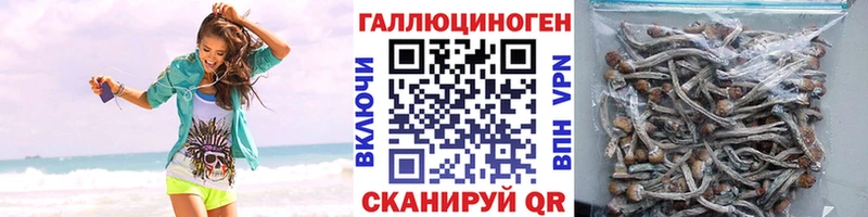 Купить закладки  Абдулино  Галлюциногенные грибы мухоморы 